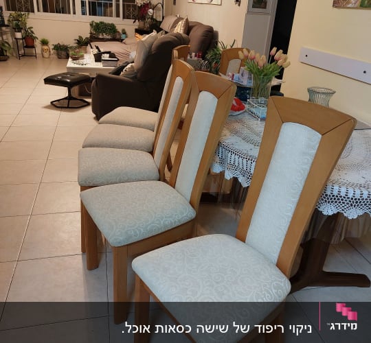 כיסאות מרופדים ליד שולחן בסלון מואר